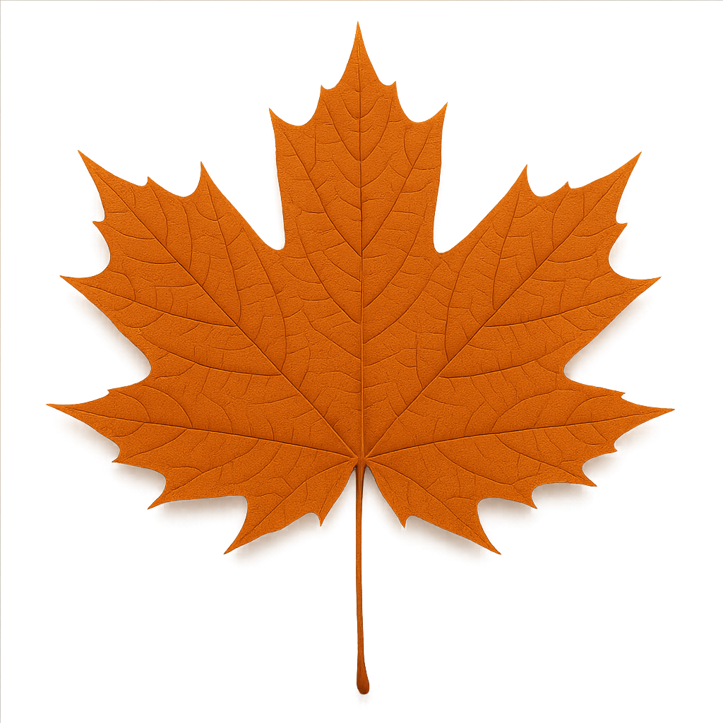 The Maple Media Logo